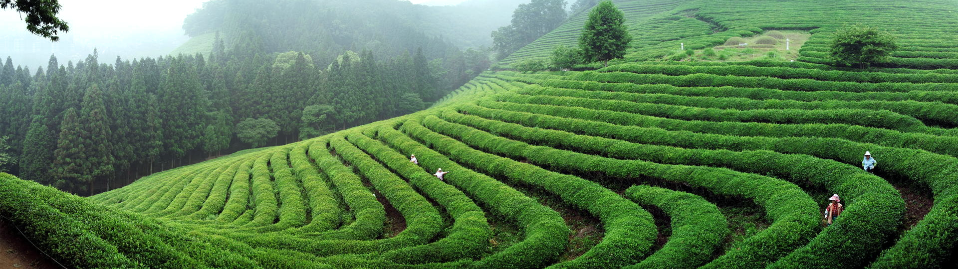 win����Ӯ(�й���½)Ψһ�ٷ���վ-Bwin�ٷ���Ȩ���