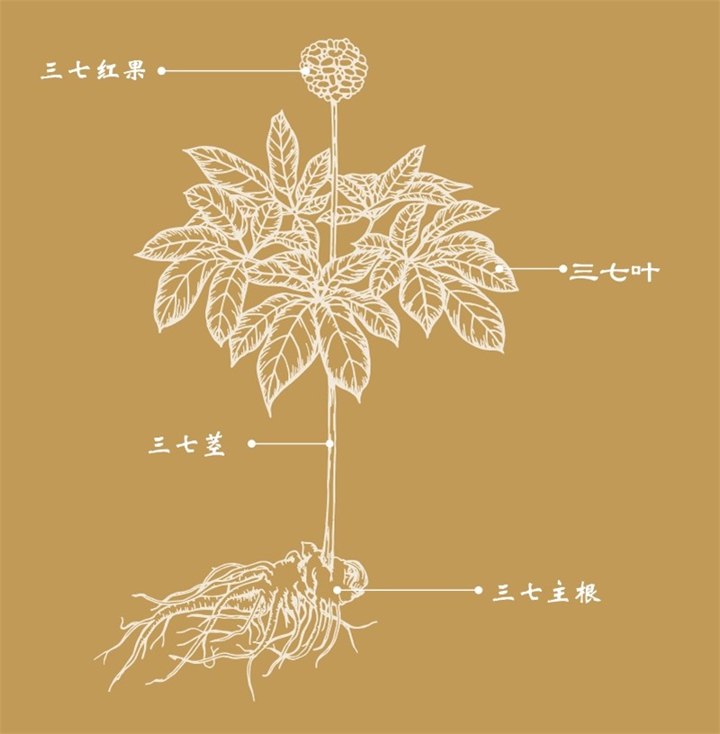 win����Ӯ(�й���½)Ψһ�ٷ���վ-Bwin�ٷ���Ȩ���