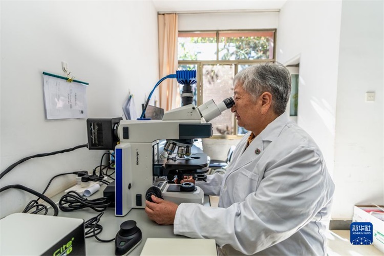 win����Ӯ(�й���½)Ψһ�ٷ���վ-Bwin�ٷ���Ȩ���