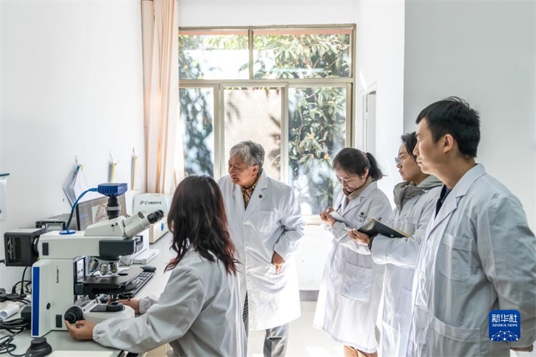 win����Ӯ(�й���½)Ψһ�ٷ���վ-Bwin�ٷ���Ȩ���