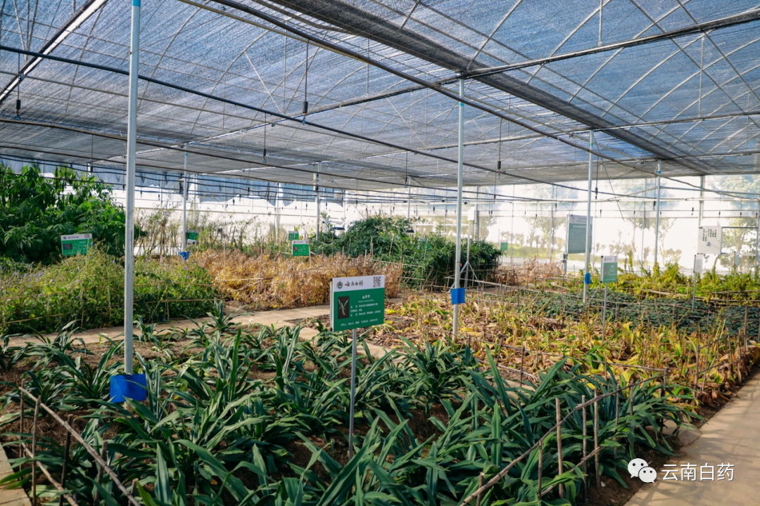 win¡¤±ØÓ®(Öйú´ó½)Ψһ¹Ù·½ÍøÕ¾-Bwin¹Ù·½ÊÚȨÈë¿Ú