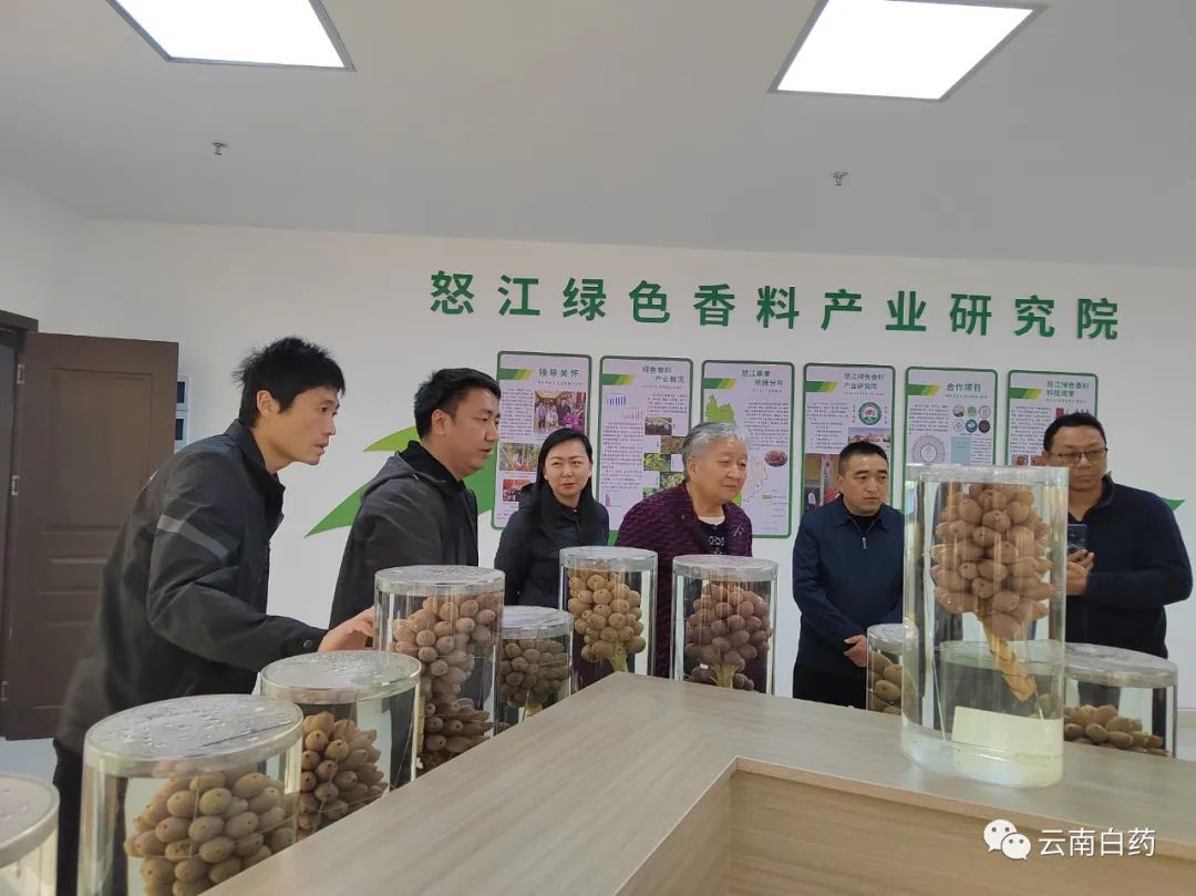 win����Ӯ(�й���½)Ψһ�ٷ���վ-Bwin�ٷ���Ȩ���