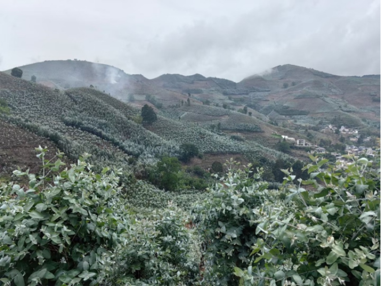 win¡¤±ØÓ®(Öйú´ó½)Ψһ¹Ù·½ÍøÕ¾-Bwin¹Ù·½ÊÚȨÈë¿Ú