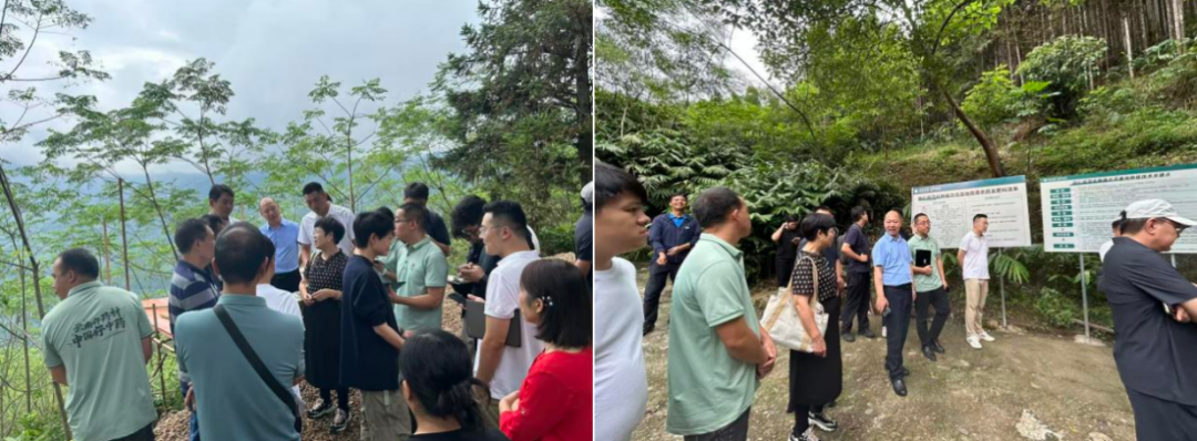 win����Ӯ(�й���½)Ψһ�ٷ���վ-Bwin�ٷ���Ȩ���