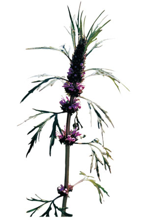 win¡¤±ØÓ®(Öйú´ó½)Ψһ¹Ù·½ÍøÕ¾-Bwin¹Ù·½ÊÚȨÈë¿Ú