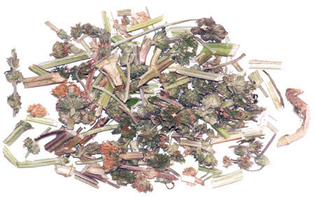 win¡¤±ØÓ®(Öйú´ó½)Ψһ¹Ù·½ÍøÕ¾-Bwin¹Ù·½ÊÚȨÈë¿Ú