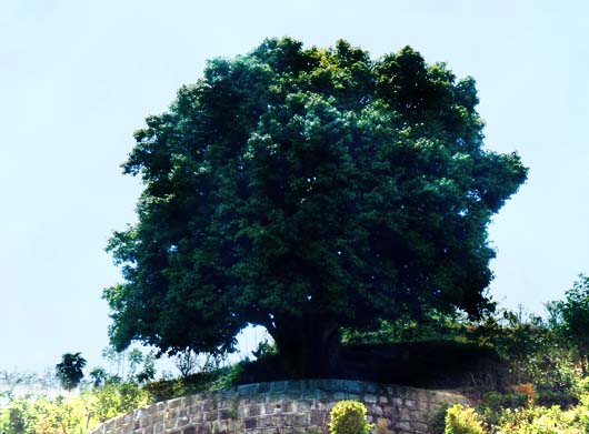 win����Ӯ(�й���½)Ψһ�ٷ���վ-Bwin�ٷ���Ȩ���