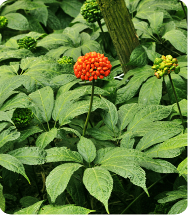 win����Ӯ(�й���½)Ψһ�ٷ���վ-Bwin�ٷ���Ȩ���