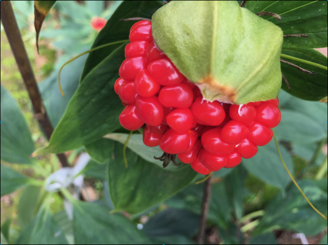 win����Ӯ(�й���½)Ψһ�ٷ���վ-Bwin�ٷ���Ȩ���